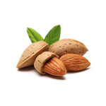 almond-2 sweet almond oil
