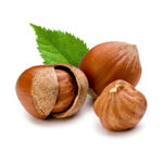 hazelnuts2 hazelnut oil