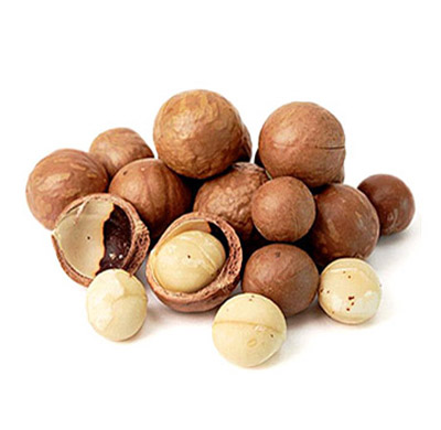 macadamia2 macadamia oil